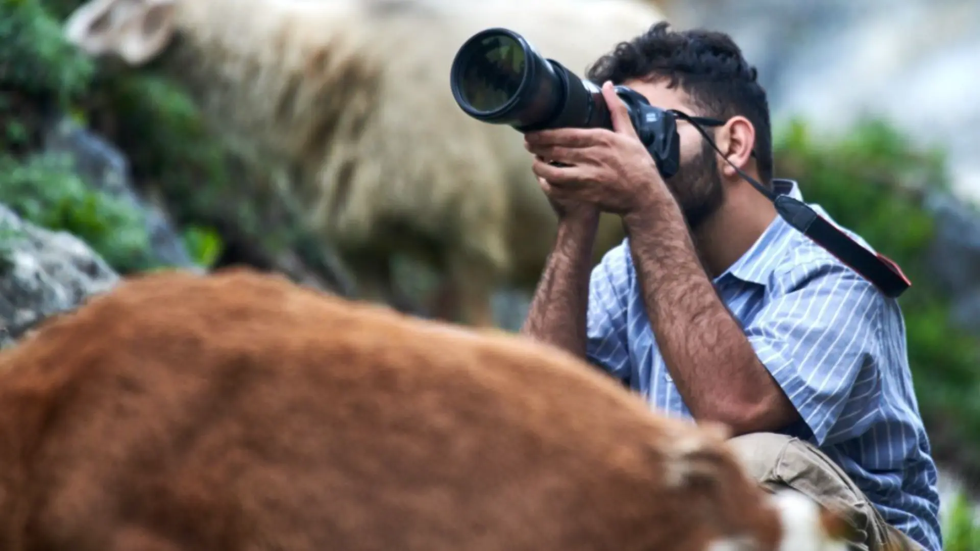 Mohebullah Naveed in field